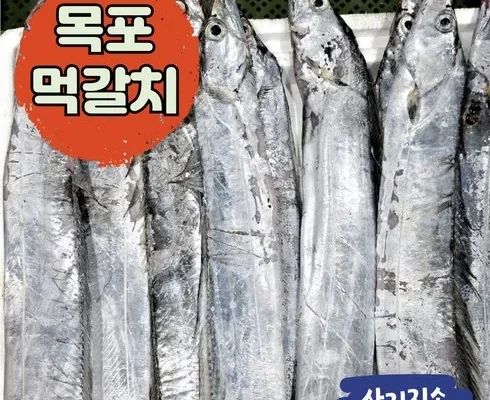 SNS추천상품 목포먹갈치 사용리뷰정리