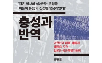 누적후기순위 정안기 최저가검색